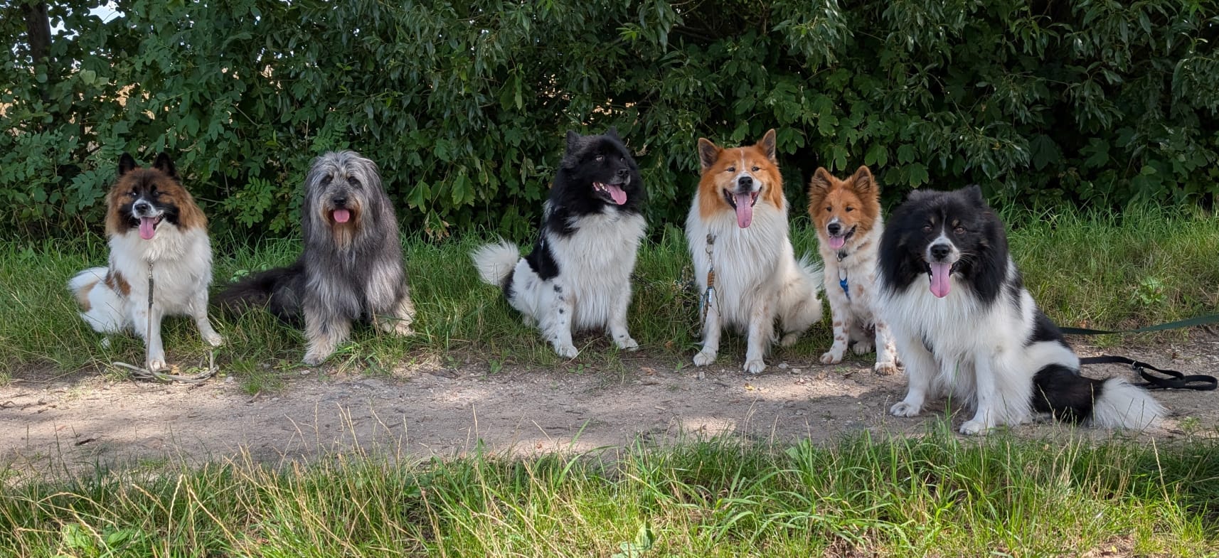 WhatsApp Image 2025 11 22 At 18.07.40