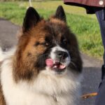 WhatsApp Image 2025 11 22 At 19.26.55 1 150x150