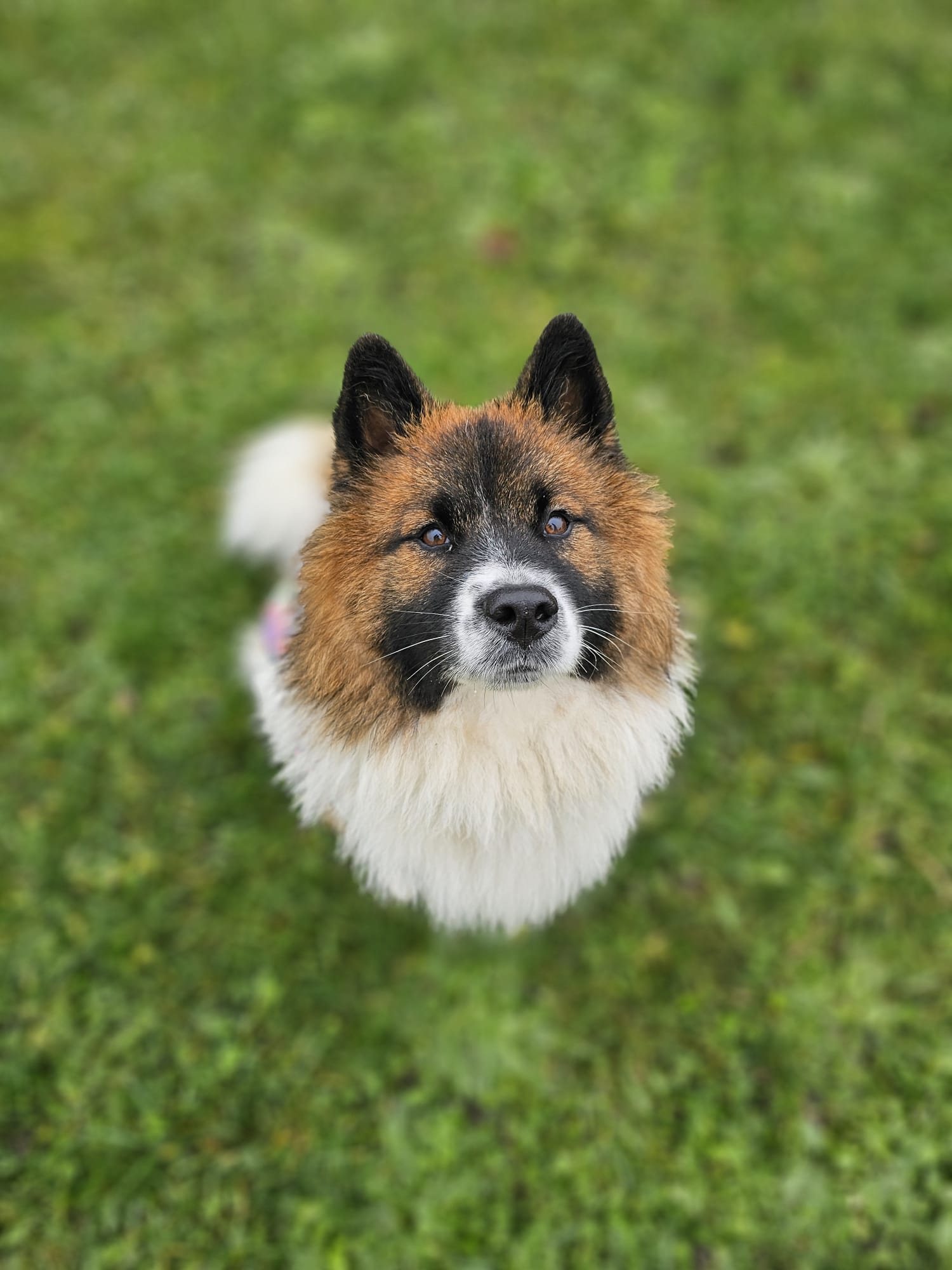 WhatsApp Image 2025 11 22 At 19.30.19