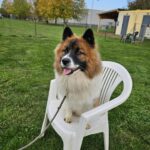 WhatsApp Image 2025 11 22 At 19.30.39 150x150