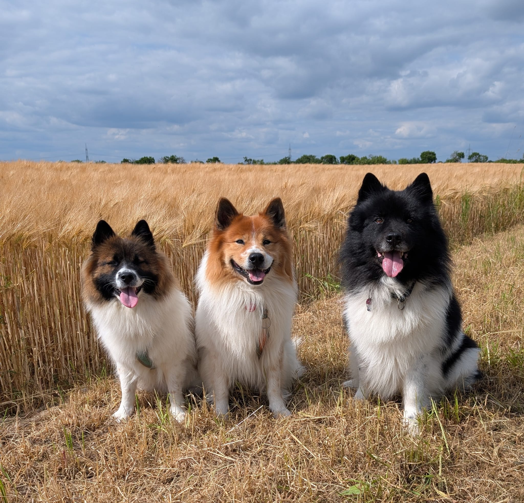 WhatsApp Image 2025 11 22 At 19.31.19