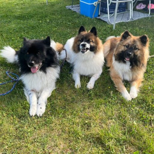 vater rufus und töchter