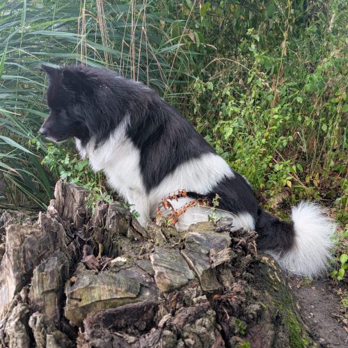 WhatsApp Image 2025-11-22 at 18.03.53