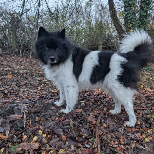 whatsapp image 2025 11 22 at 18.29.51 (1)