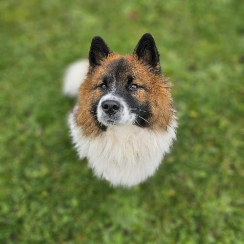 WhatsApp Image 2025-11-22 at 19.30.03