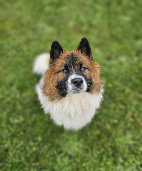 WhatsApp Image 2025-11-22 at 19.30.19