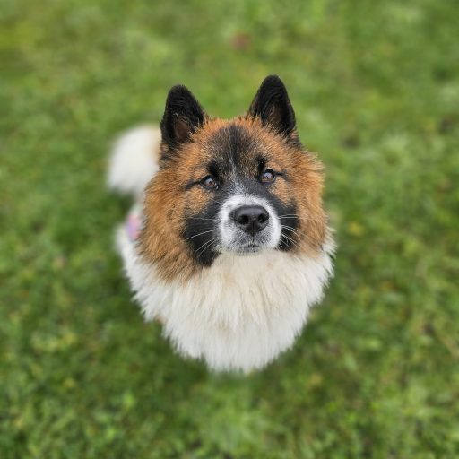 WhatsApp Image 2025-11-22 at 19.30.19