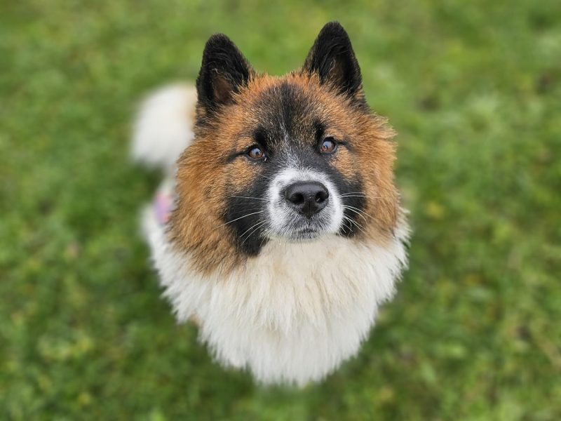 WhatsApp Image 2025-11-22 at 19.30.19 WhatsApp Image 2025-11-22 at 19.30.19