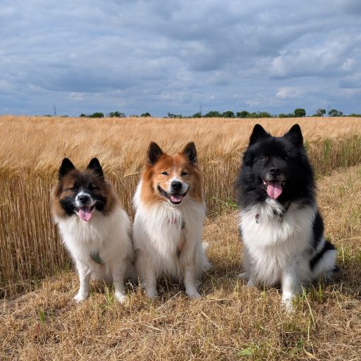 WhatsApp Image 2025-11-22 at 19.31.19