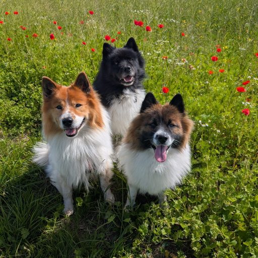 whatsapp image 2026 02 16 at 19.58.10