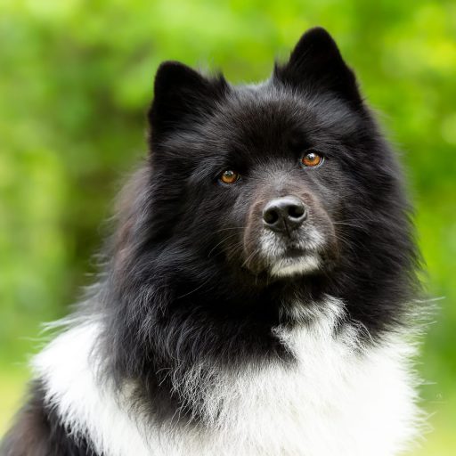 whatsapp image 2026 02 16 at 20.57.06