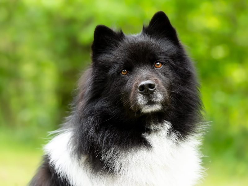 whatsapp image 2026 02 16 at 20.57.06 whatsapp image 2026 02 16 at 20.57.06