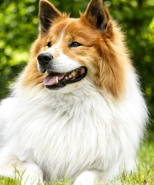 whatsapp image 2026 02 16 at 22.15.47